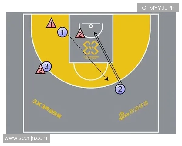 深圳篮球队的整体压制分析与战术解读探讨